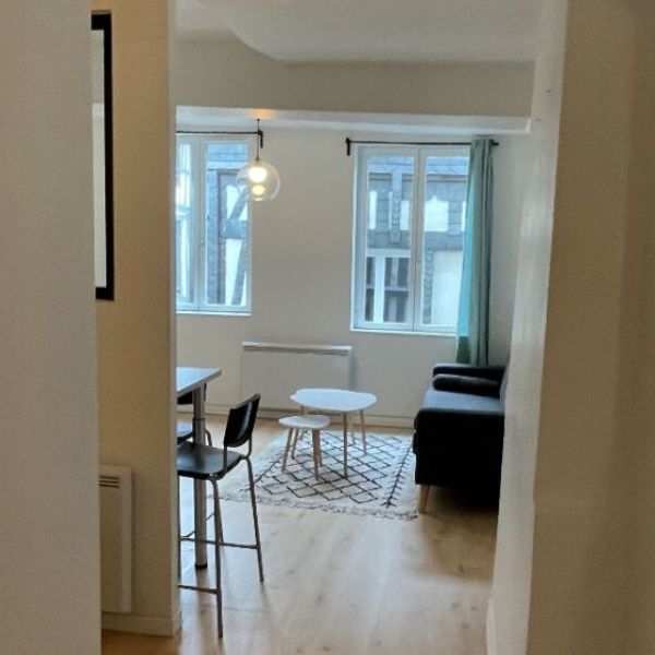 
APPARTEMENT T1 BIS MEUBLÉ ROUEN CENTRE CAUCHOISE
